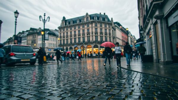 Top 5 services d'électricité à Lille pour une intervention rapide
